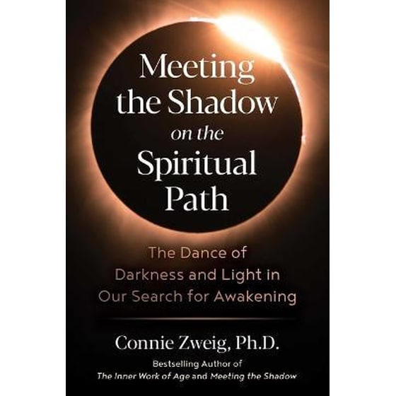 Meeting the Shadow on the Spiritual Path : The Dance of Darkness and Light in Our Search for Awakening image 0