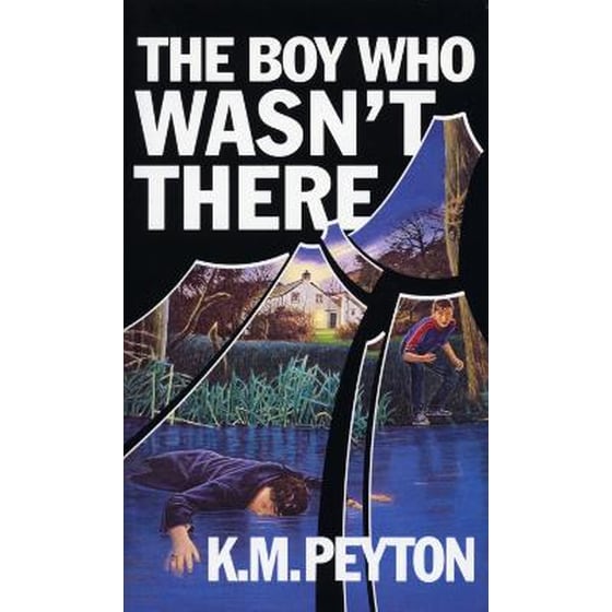 Boy Who Wasn't There image 0