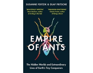 Empire of Ants image 0