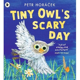 Tiny Owl's Scary Day