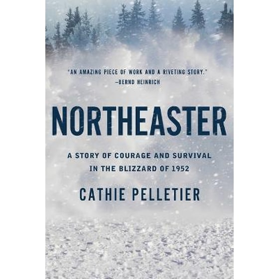Northeaster : A Story of Courage and Survival in the Blizzard of 1952 image 0