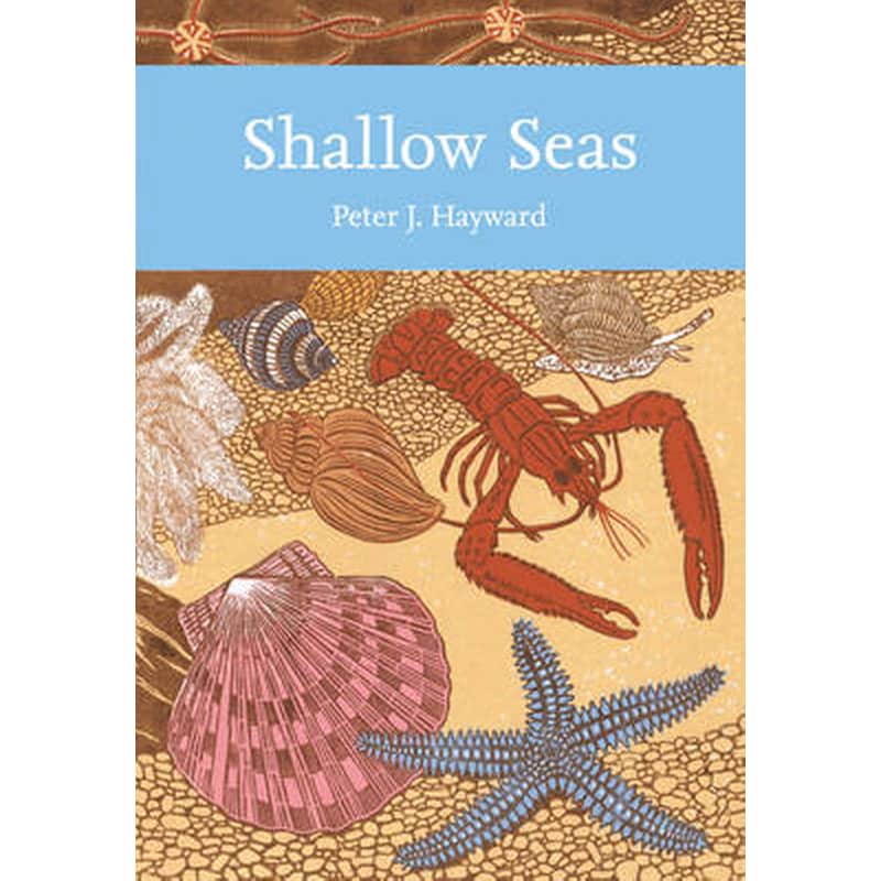 Shallow Seas
