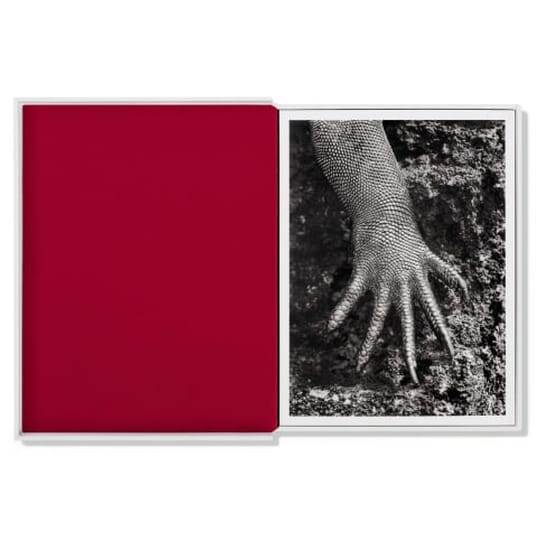 Sebastiao Salgado, Postcard Set image 1