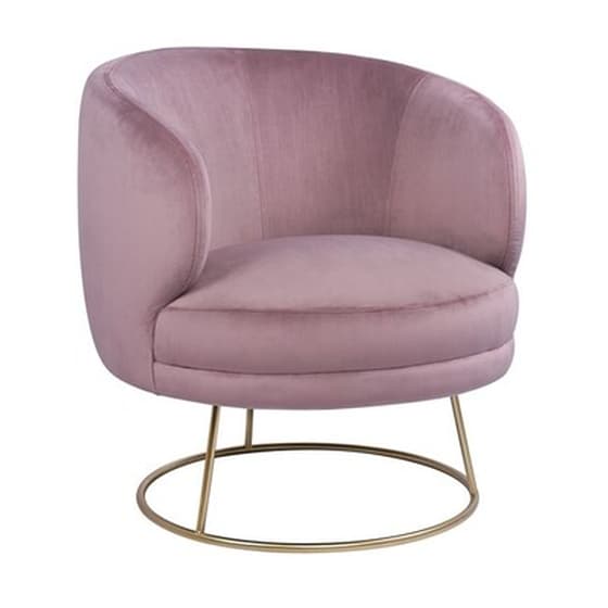 Πολυθρόνα Από Βελούδο Arien Hm8403 02 Σάπιο Μήλο Με Χρυσή Βάση image 0