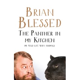 The Panther In My Kitchen