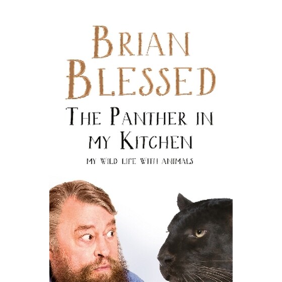 The Panther In My Kitchen image 0
