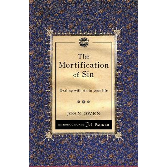 Mortification of Sin image 0