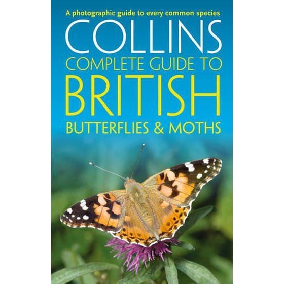 British Butterflies and Moths image 0