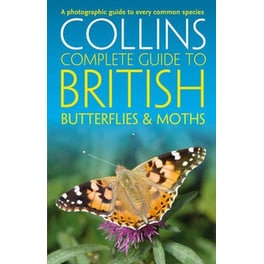 British Butterflies and Moths