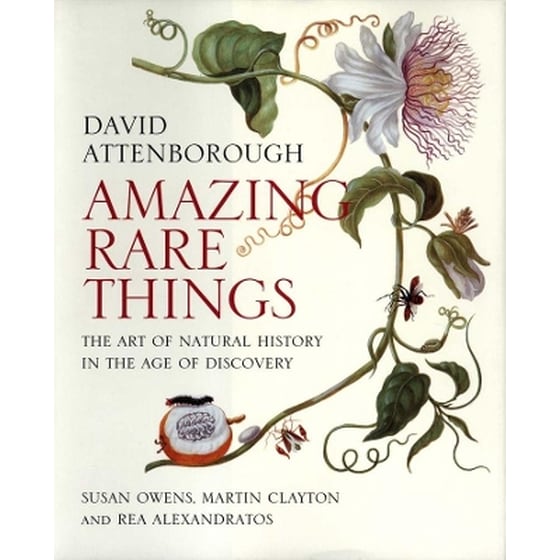 Amazing Rare Things image 0