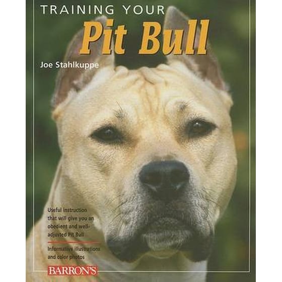 Training Your Pit Bull image 0