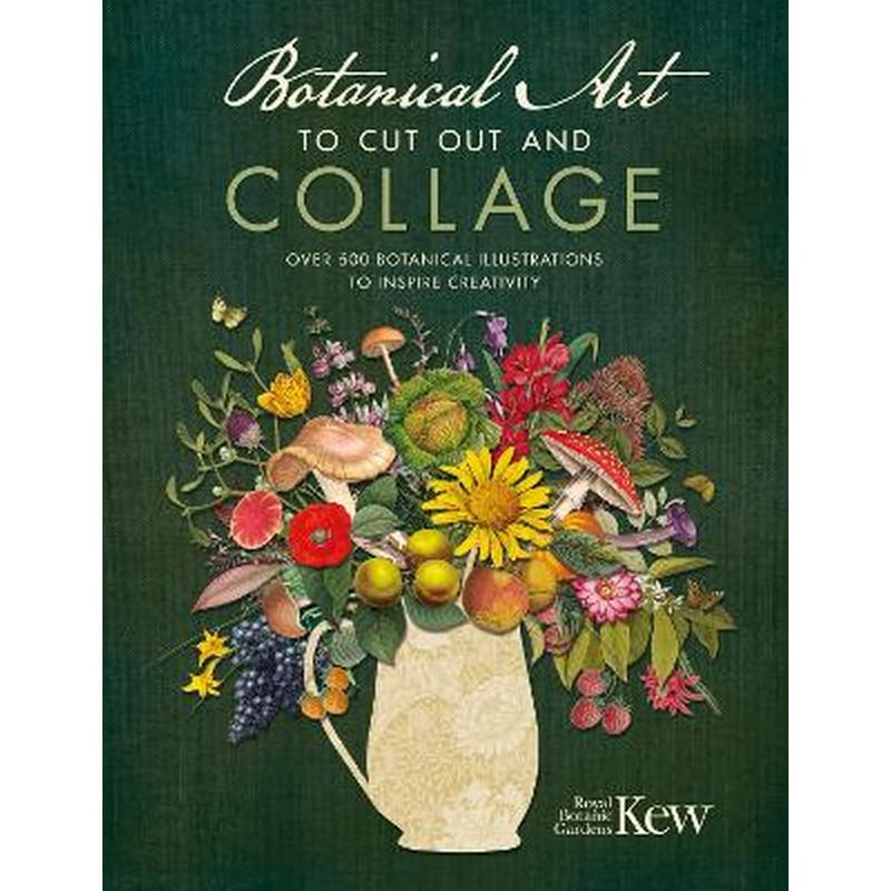 Botanical Art to Cut out and Collage