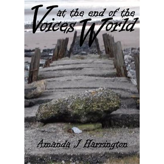 Voices at the end of the World image 0