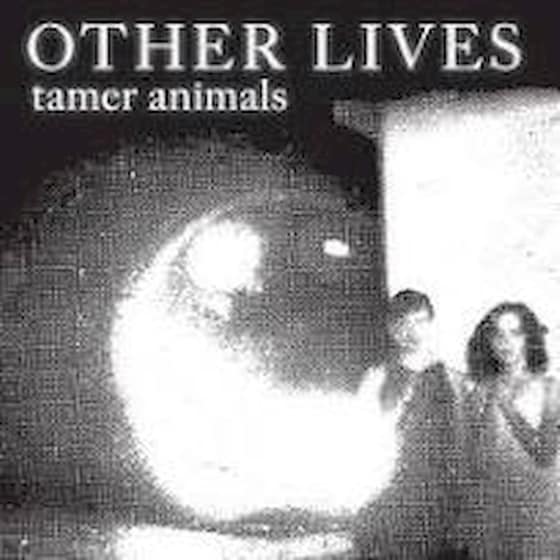 Tamer Animals (LP) image 0