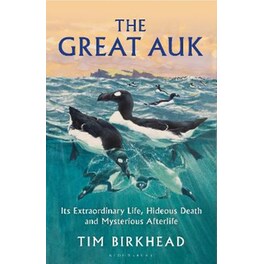 The Great Auk