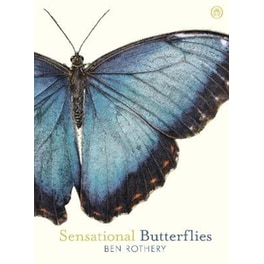 Sensational Butterflies