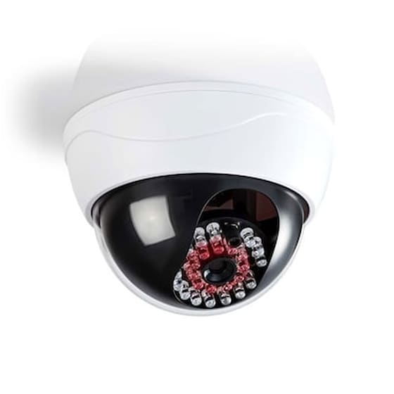 Nedis Dumcd20wt Dummy Security Camera, Dome, Ip44, White 233-0106 image 0