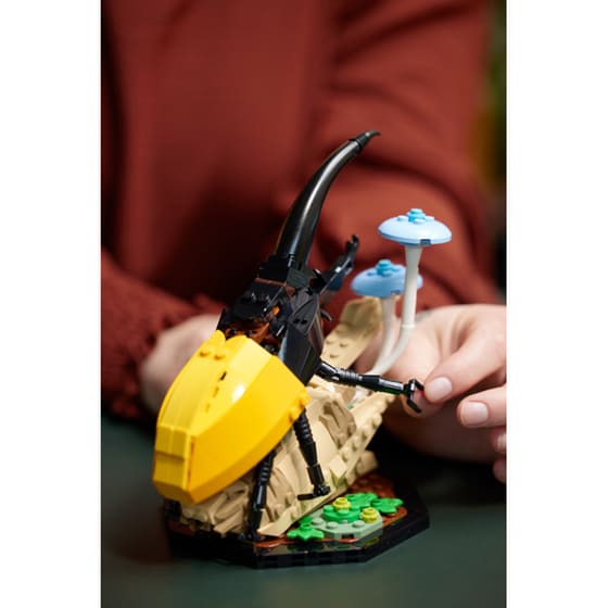 LEGO®Ideas The Insect Collection (21342) image 16