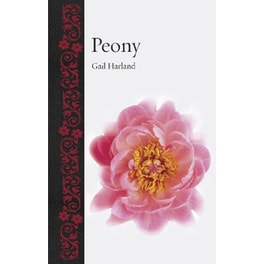 Peony