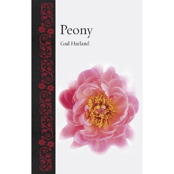 Peony image 0