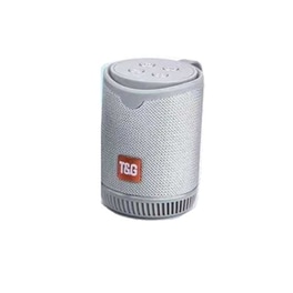 T&G Tg-528 Φορητό Ηχείο 5 W - Γκρι
