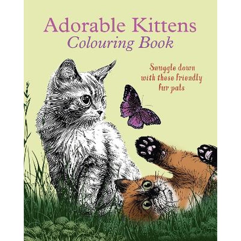 Adorable Kittens Colouring Book