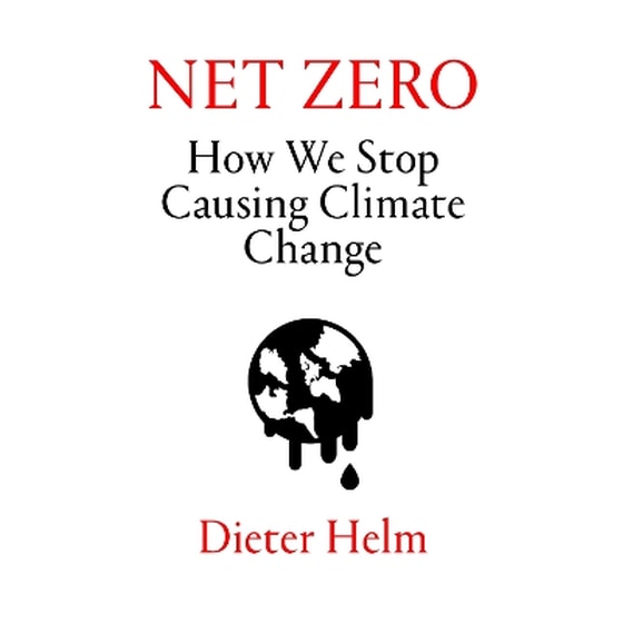 Net Zero image 0