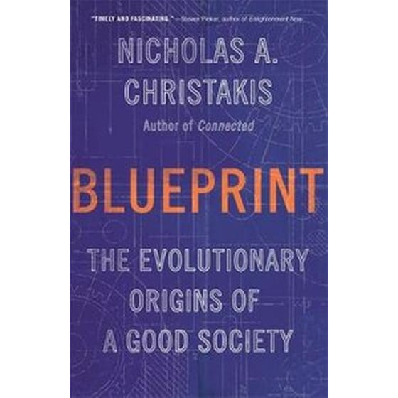 Blueprint image 0