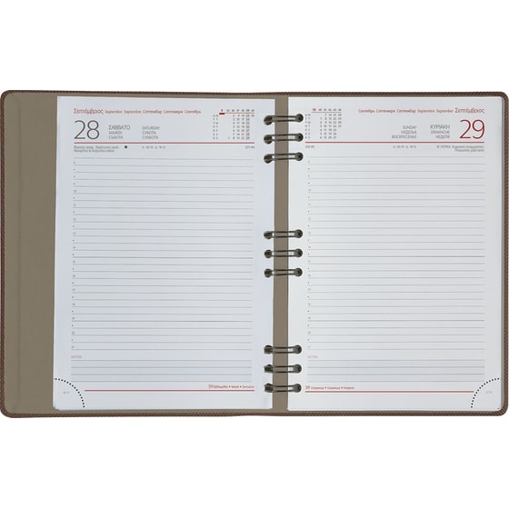 Ημερολόγιο Ημερήσιο 2026 Θεοφύλακτος 12M Dot Μπλε image 1