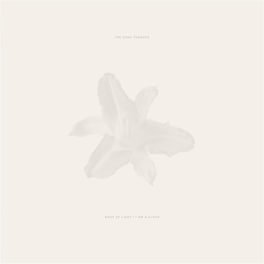Body Of Light / I Am A Cloud