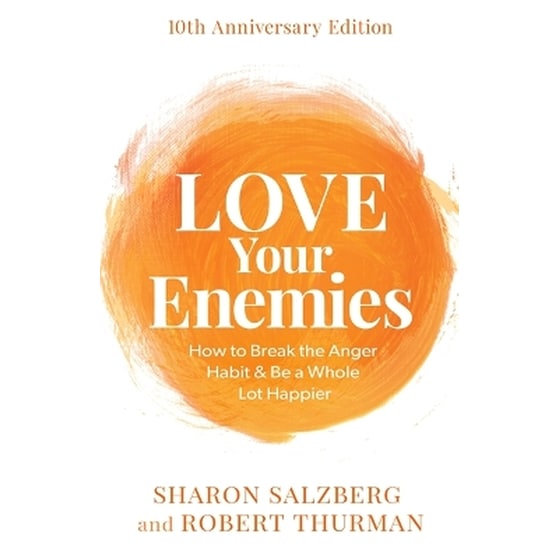 Love Your Enemies (10th Anniversary Edition) image 0