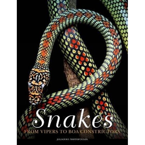 Snakes image 0