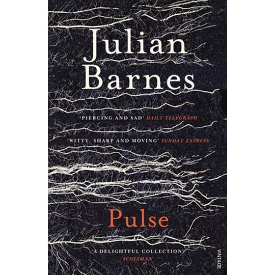 Pulse image 0