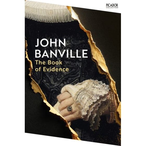 The Book of Evidence image 0