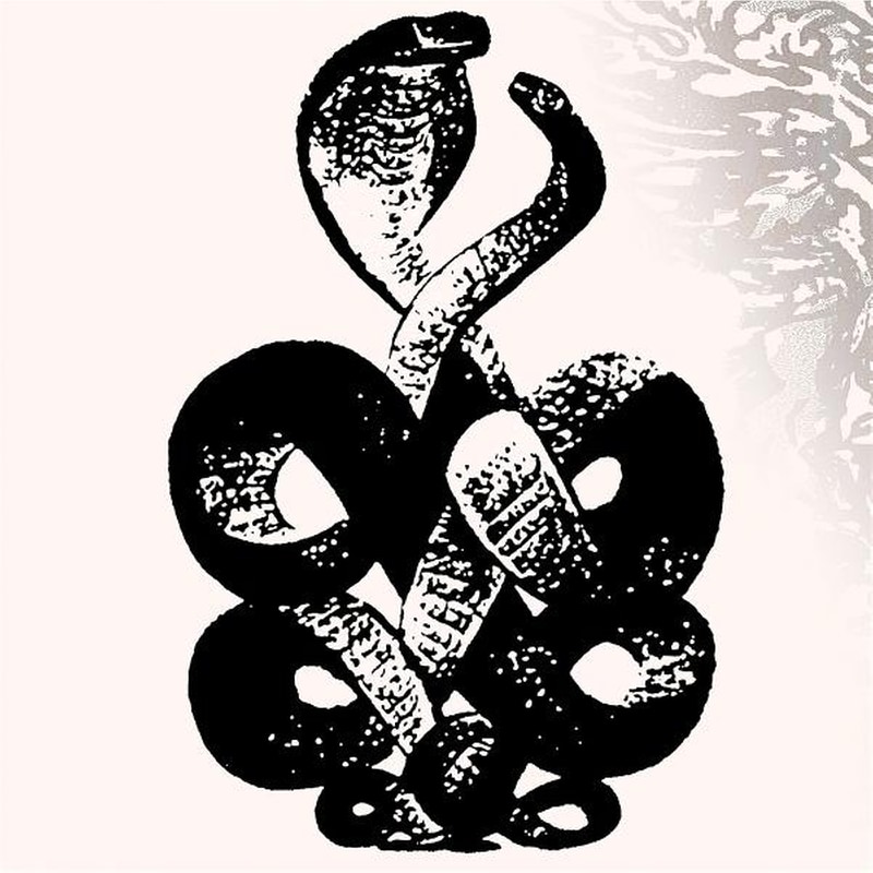 Volume 4 5 (Black Vinyl 2LP)