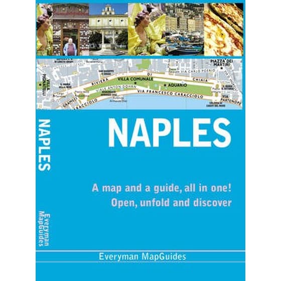 Naples City MapGuide image 0
