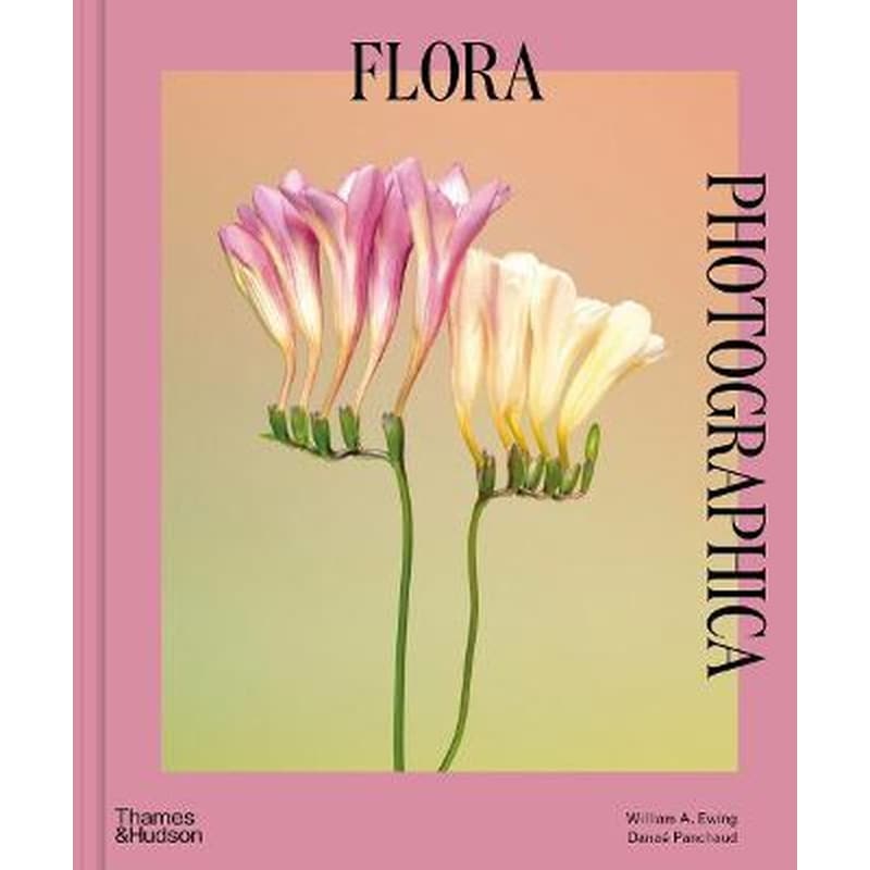 Flora Photographica : The Flower in Contemporary Photography