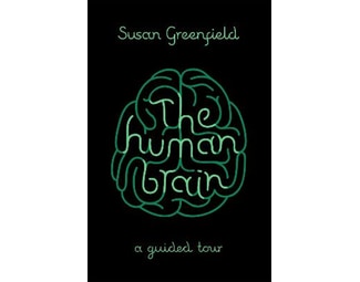 Human Brain image 0