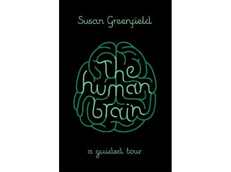 Human Brain