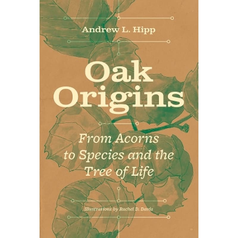 Oak Origins