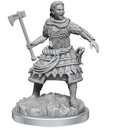 Dnd Nolzur's Mini Human Fighters Dungeons & Dragons WIZKIDS