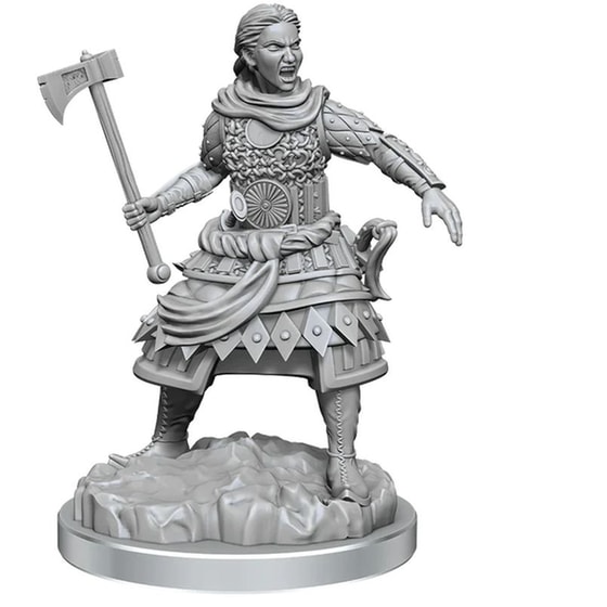 Dnd Nolzur's Mini Human Fighters Dungeons & Dragons WIZKIDS image 0