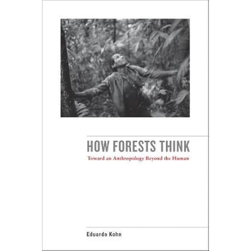 How Forests Think