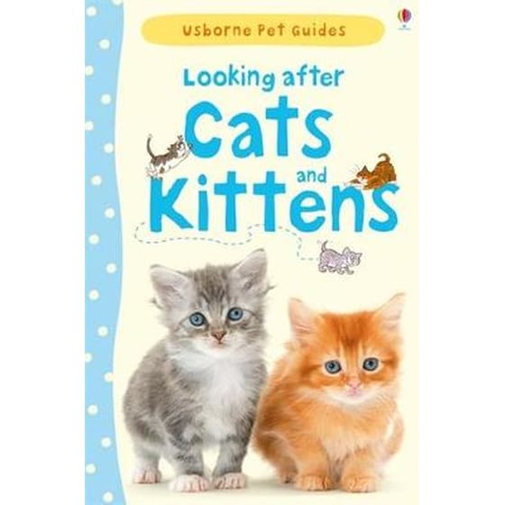 Looking after Cats and Kittens image 0