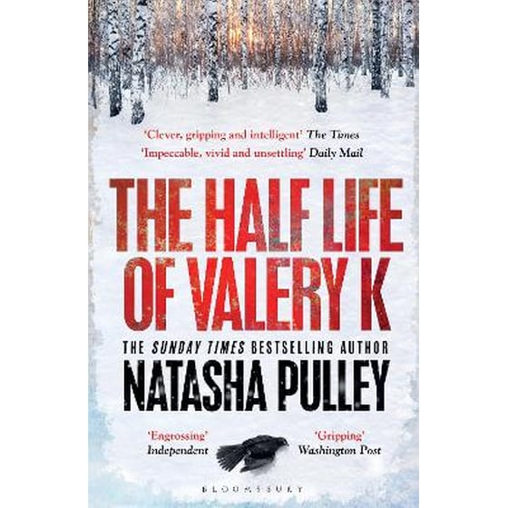 The Half Life of Valery K image 0