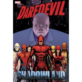 Daredevil: Shadowland Omnibus Cassaday Cover (New Printing)