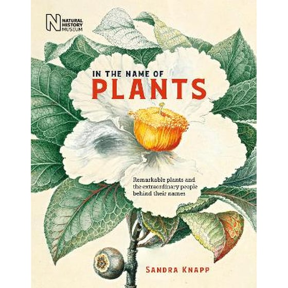 In the Name of Plants image 0