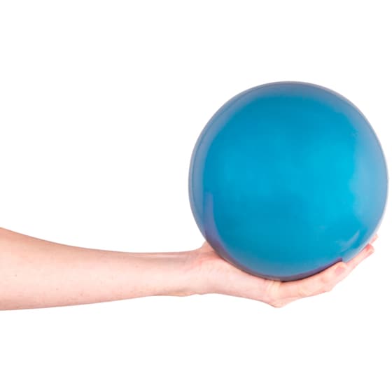Μπάλα Γυμναστικής Insportline Κατάλληλη για Yoga, 4kg - Mπλε image 1