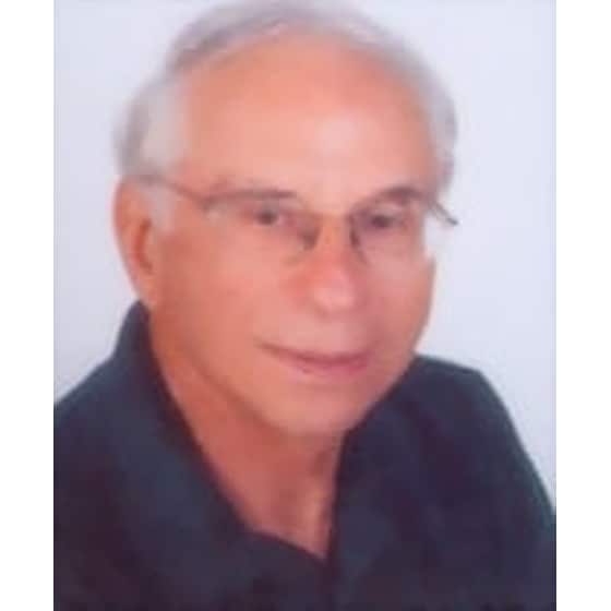 Το πολιτικό σύστημα image 1