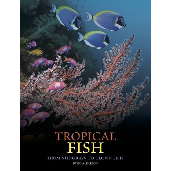 Tropical Fish image 0